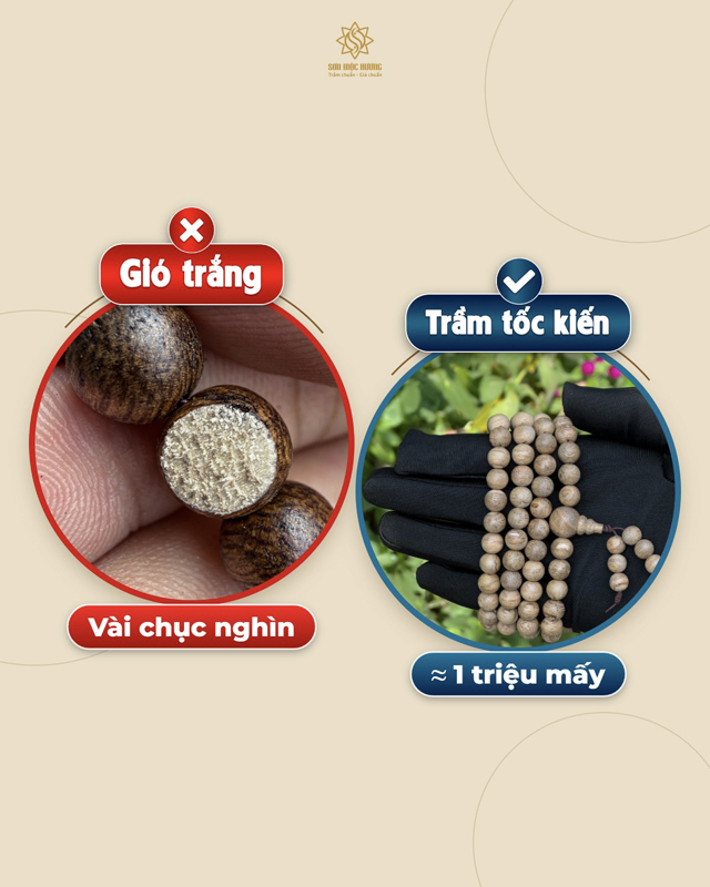 So s&aacute;nh v&ograve;ng gi&oacute; trắng v&agrave; v&ograve;ng trầm hương tốc kiến